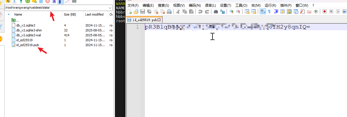 image-20250805164927987