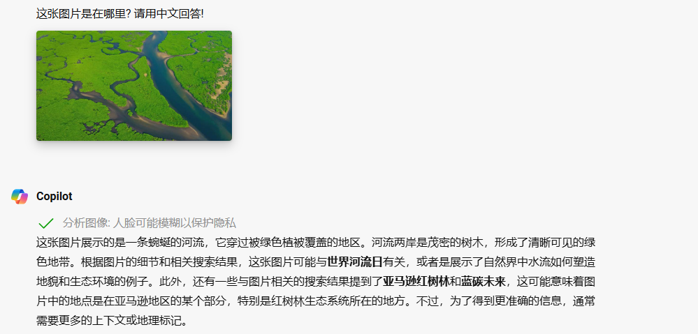 image-20240513072359198
